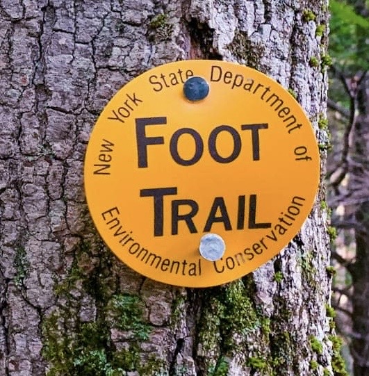 Catskills Hiking & Painting